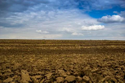 Arable field farm Stock Photos