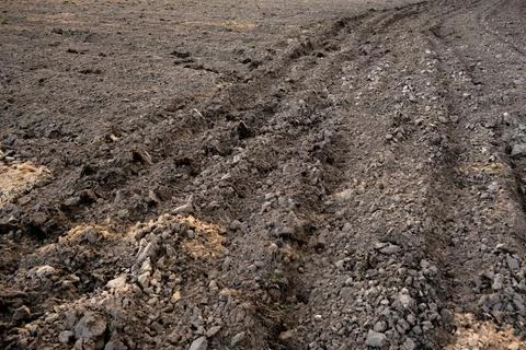 The arable field is ready for spring agricultural work. Plowed black soil Фото