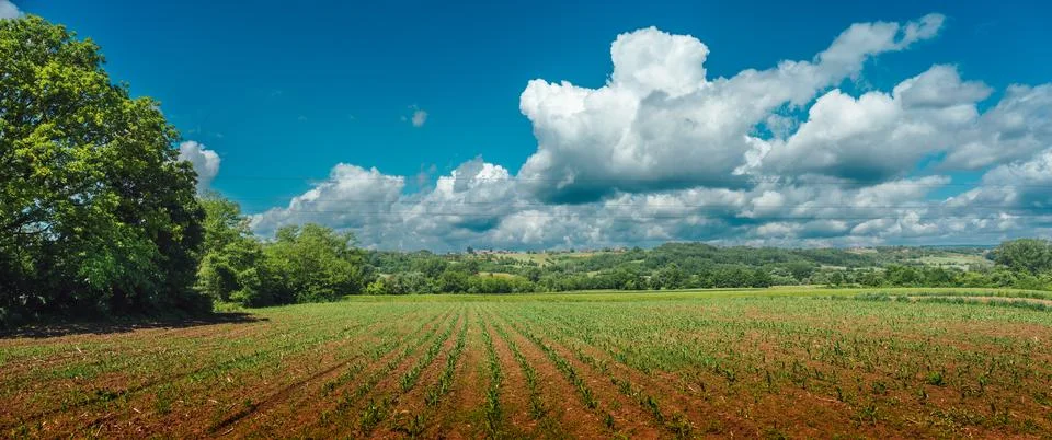 Arable fields and meadows in the spring Stockfoto's
