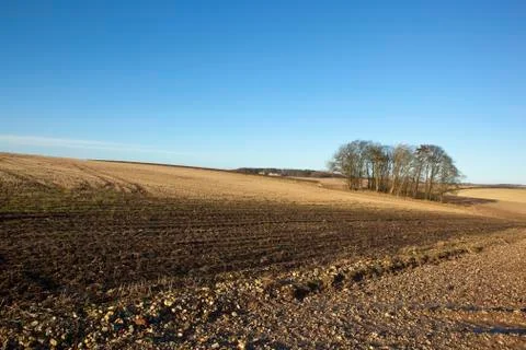 Arable fields in january Stock Photos