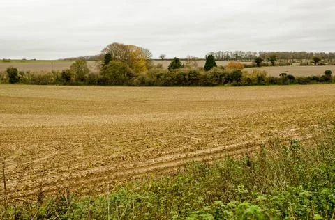 Arable Fields near Dummer, Basingstoke on an Autumn day Stock Photos