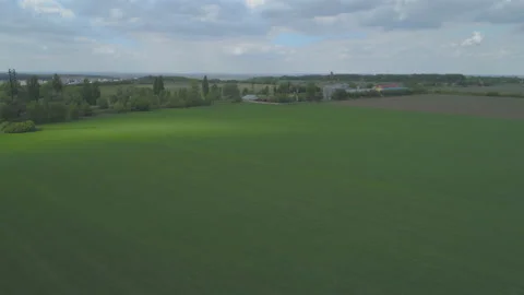 Arable land after wheat seeding. Stormy sky and clouds Stock Footage 130595233
