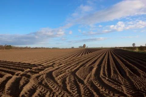 Arable pattern and texture Stock Photos