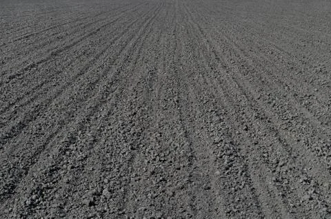 Arable Stock Photos