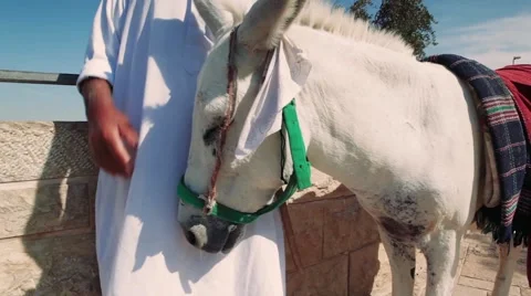 Arabs in Jerusalem Stock Footage 59610927