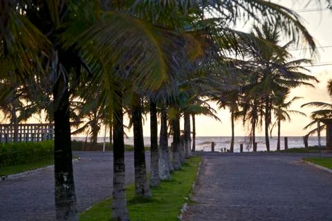 Aracajú Stock Photos