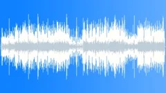 Aracari Stock Music