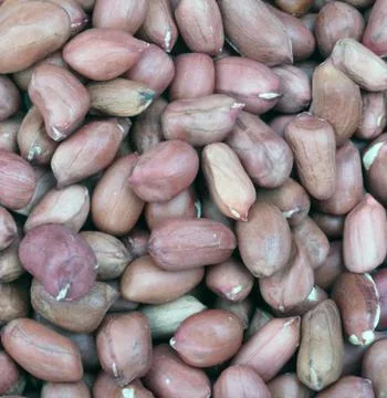 Arachis background Stock Photos