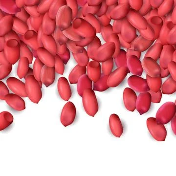 Arachis or peanuts background with red scattered nuts and beans Stock Illustration