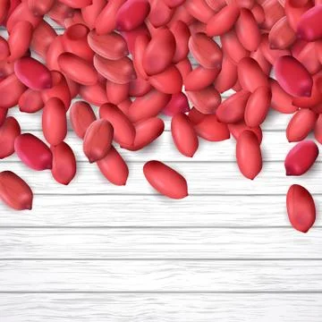 Arachis or peanuts background with red scattered nuts and beans Stock Illustration