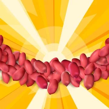 Arachis or peanuts background with red scattered nuts and beans Stock Illustration