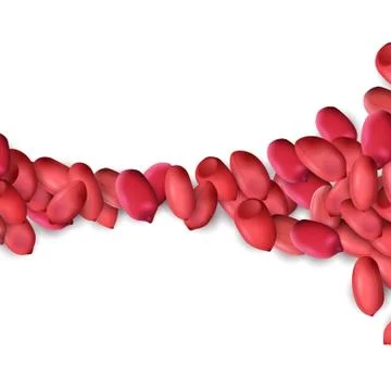 Arachis or peanuts background with red scattered nuts and beans Stock Illustration