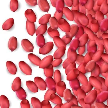 Arachis or peanuts background with red scattered nuts and beans Stock Illustration