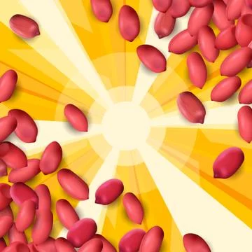 Arachis or peanuts background with red scattered nuts and beans Stock Illustration