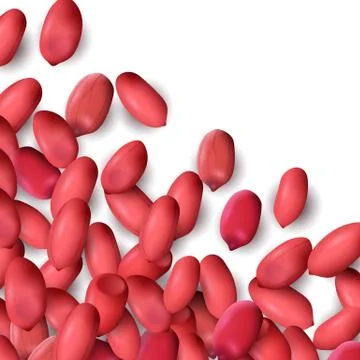 Arachis or peanuts background with red scattered nuts and beans Stock Illustration