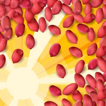 Arachis or peanuts background with red scattered nuts and beans Stock Illustration