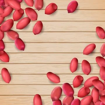Arachis or peanuts background with red scattered nuts and beans Stock Illustration