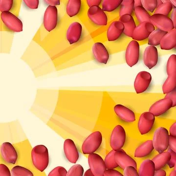 Arachis or peanuts background with red scattered nuts and beans Stock Illustration