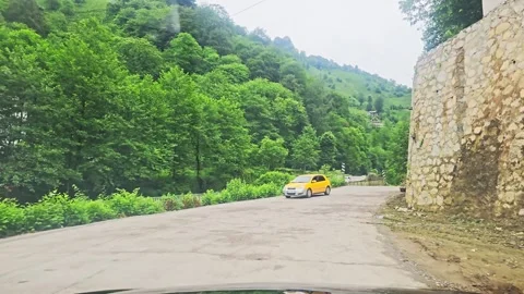 Araffes on a road with trees and. Stock Footage 282842210