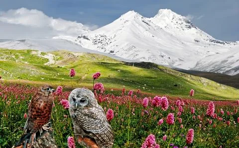 Aragats mountain in spring. Stock Photos