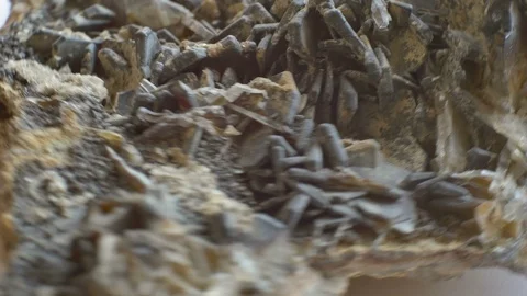 Aragonite Mineral Sample Stock Footage 93845126