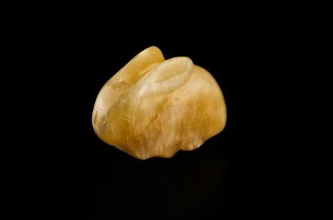 Aragonite rabbit Photos