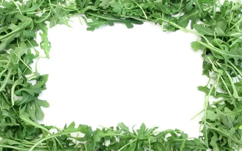 Aragula frame Stock-Fotos