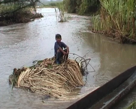 Arajuna river, boy sitting on reed Stock Footage