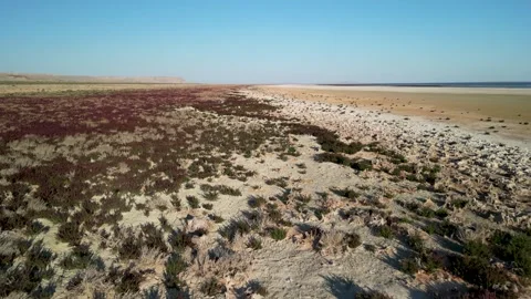 Aral Sea_6 스톡 동영상 337816769