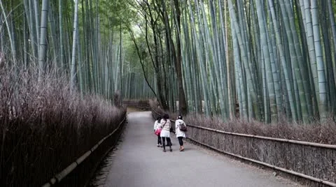 Arashiyama Bamboo Forest Stock-Footage 20531660