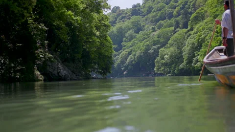 Arashiyama River Boat Journey Through Cedar Forest - Kyoto, Japan Stock Footage 336830243