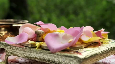 Arathi ritual. Rose for offering to the deity 스톡 동영상 166012337