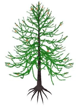 Araucaria prehistoric tree - 3D render Stock Illustration