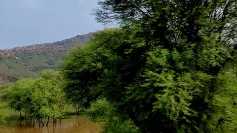 Aravalli  is the oldest range of fold mountains in India. Stock Footage 197821092