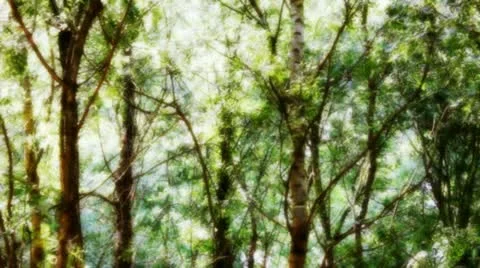 Arboles con viento 01 Video stock 21923967