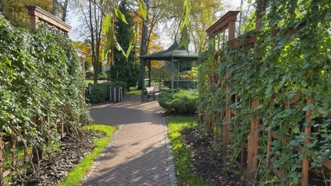 Arbor and path with climbing plants on decorative wooden frameworks Video stock 254950035