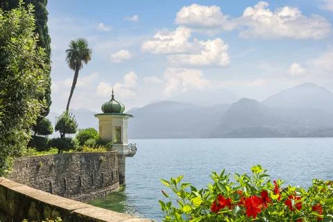 Arbor on Como lake Stock Photos