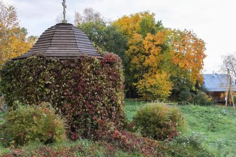 The arbor is covered with clematis. Photos
