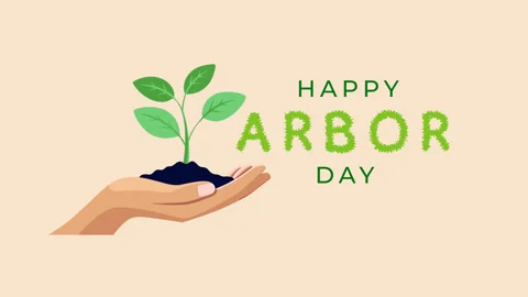 Arbor Day with hands holding seedling Stock Footage 271114130