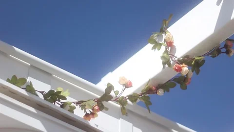 Arbor Flowers Video stock 91015991