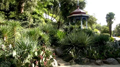 Arbor on hill in Nikitsky Botanical Garden. Stone steps lead to gazebo. Stock Footage 106967832
