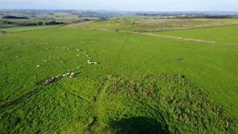 Arbor Low Stone Circle and Gib Hill Barrow Drone View, Derbyshire, UK, 2K Video stock 172281128
