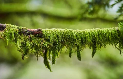 Arboretum Foto stock