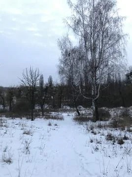 Arboretum in winter Stock Photos