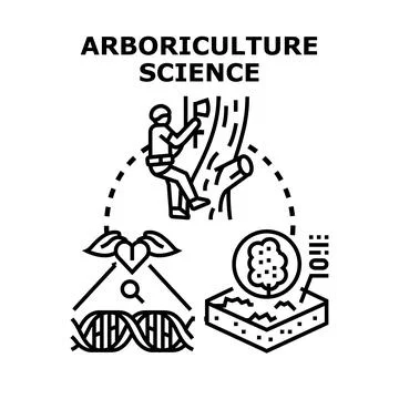 Arboriculture science studying tree care and plant health Stock Illustration