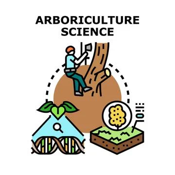 Arboriculture science studying tree care and plant health Stock Illustration