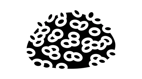 Arborio rice glyph icon animation Stock Footage 224915440