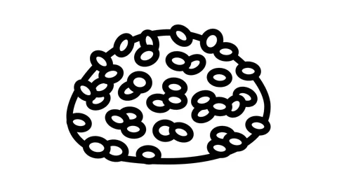 Arborio rice line icon animation Stock Footage 224965860