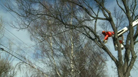 Arborist cutting branches from man-lift #5 Stock Footage