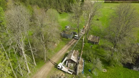 Arborist Cutting Down a Tall Tree with a Bucket Truck Crane Stock Footage 336599716
